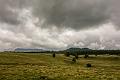 2017_08_11_Auvergne (0046)